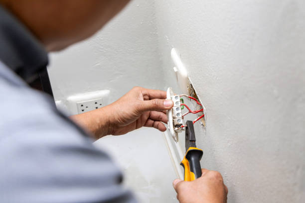 Best Ceiling Fan Installation Electrician  in Dunsmuir, CA